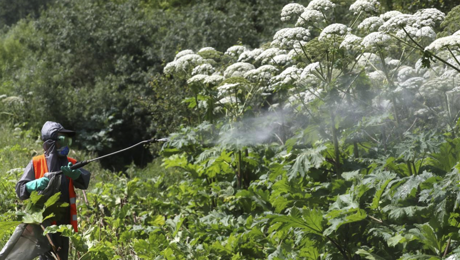    Автор фото: Сергей Савостьянов/ ТАСС