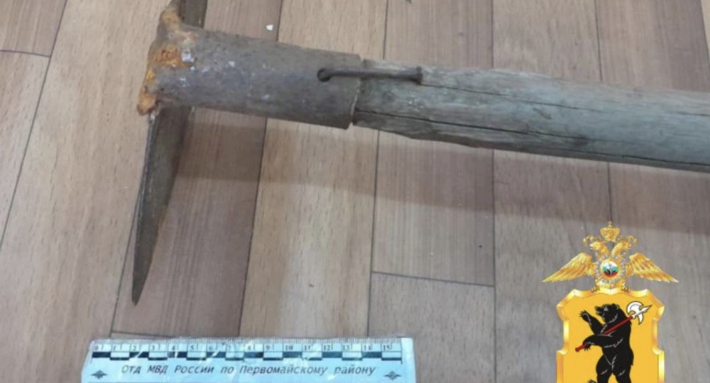 В Ярославской области мужчина ударил знакомую тяпкой и лёг спать