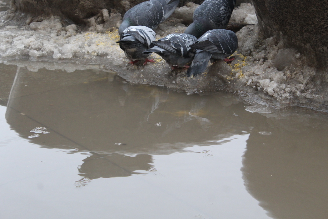    Фото: abn.agency