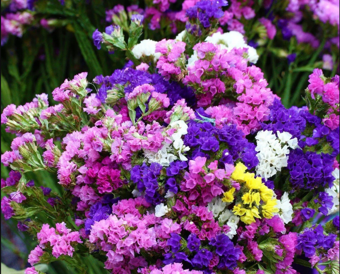 фото из интернета