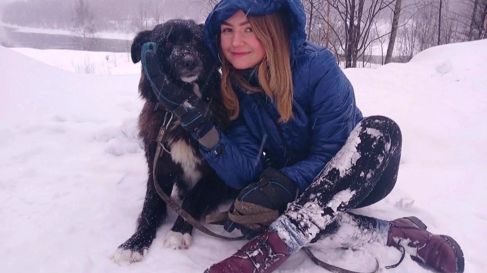 «Заберите эту тварь, иначе я её уничтожу»: собаку взяли из приюта Сосногорска как «дублёра», а потом выкинули, обвинив в смерти мужа