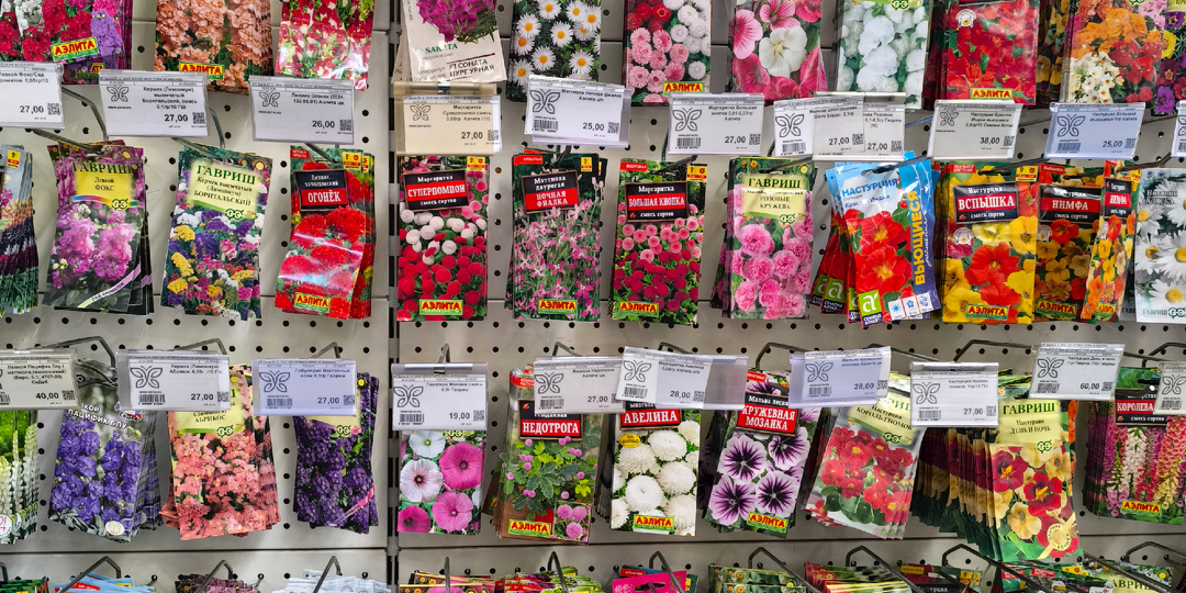 Огородный блог, дополнительная покупка семян