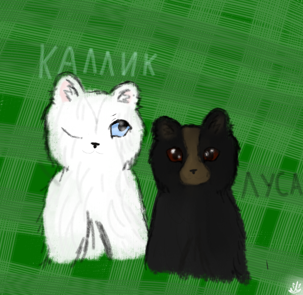 Луса и Каллик