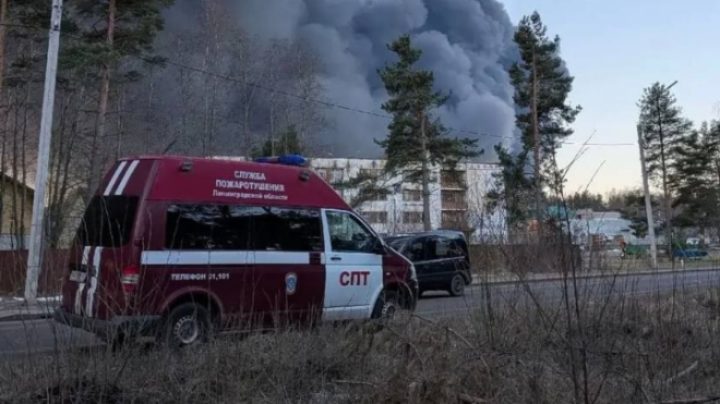 Фото: https://t.me/gumchslo/11641