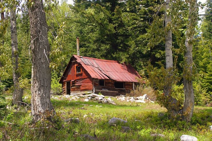 Фото взято из открытых источников Яндекс 