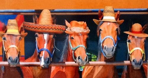 Postcrossing: как проект из Португалии помогает нам стать ближе друг к другу