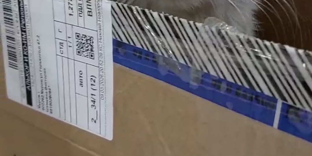 Мы можем помочь только тогда, когда есть деньги на аренду, корм, лечение. Без вашей поддержки мы не справимся.