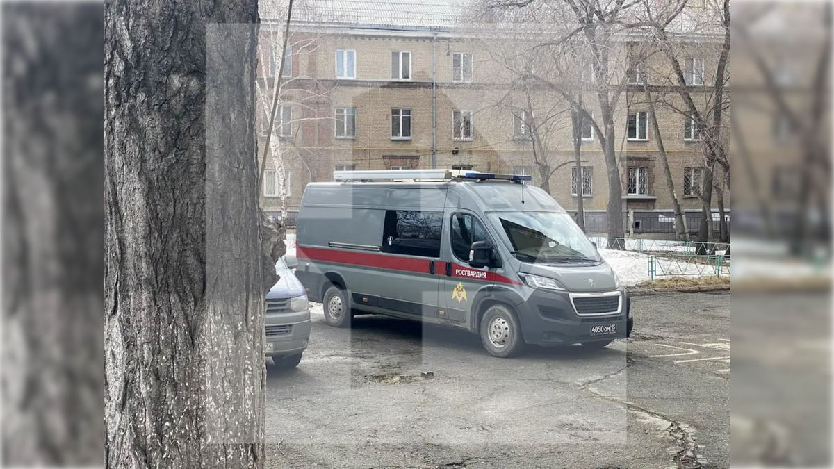 Фото: «РЕН ТВ»