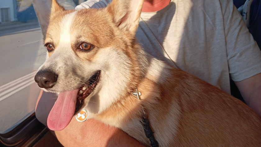    Фото: progorod43.ru