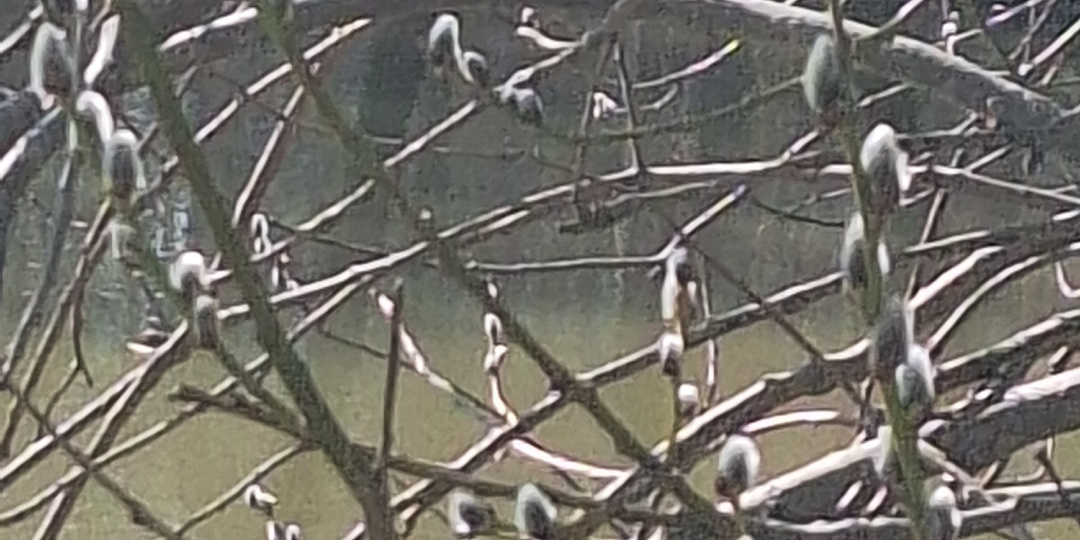 Я хочу написать романтическое фэнтези, а Захар Прилепин предложил учредить литературную премию "мирового большинства".