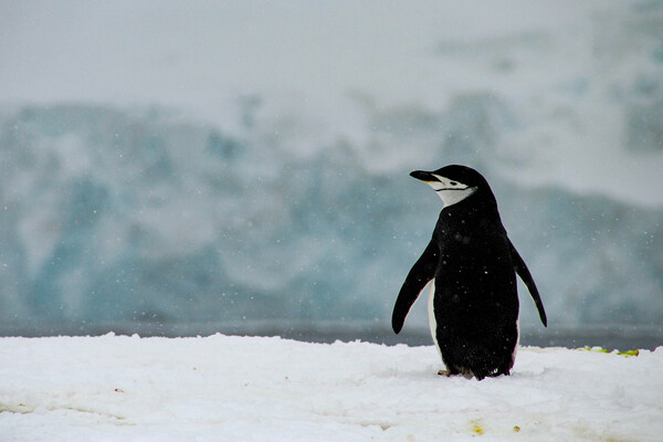 evenfh/Shutterstock/FOTODOM   📷