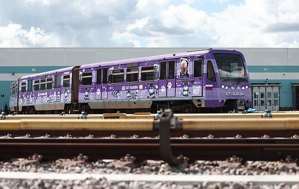 Софья Сандурская/ТАСС