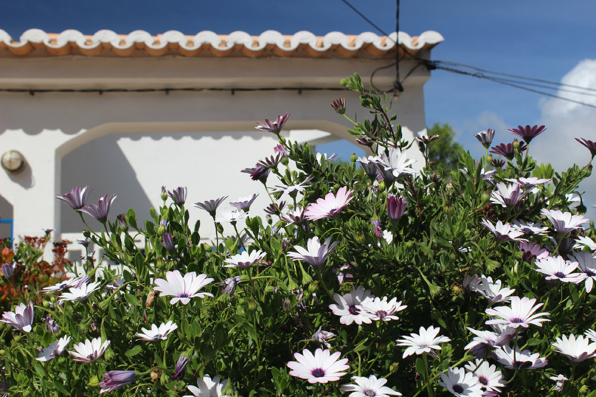 Дом в Портимао