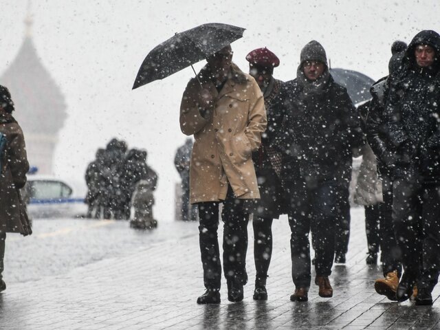   Фото: Москва 24/Антон Великжанин