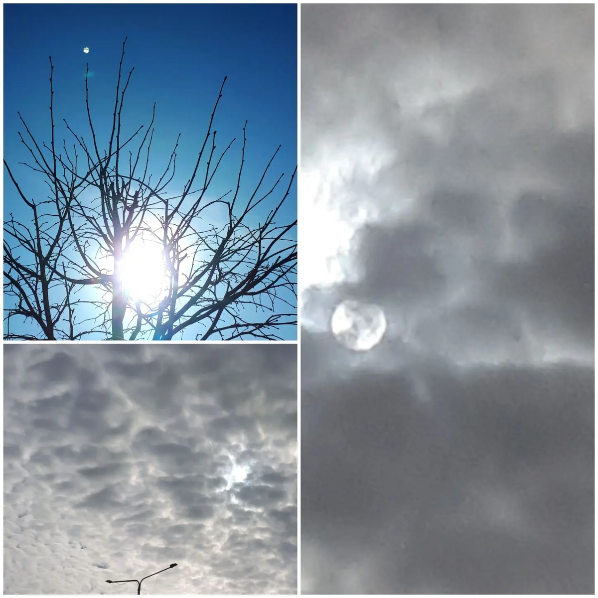 Коллаж автора статьи 26.03.2026г.