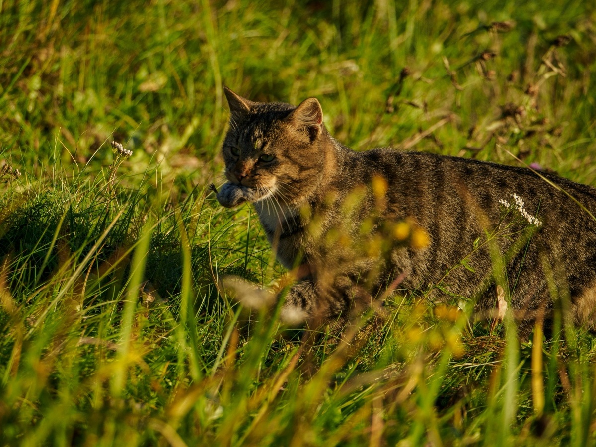    Фото: Александр Губарев Юра Белый