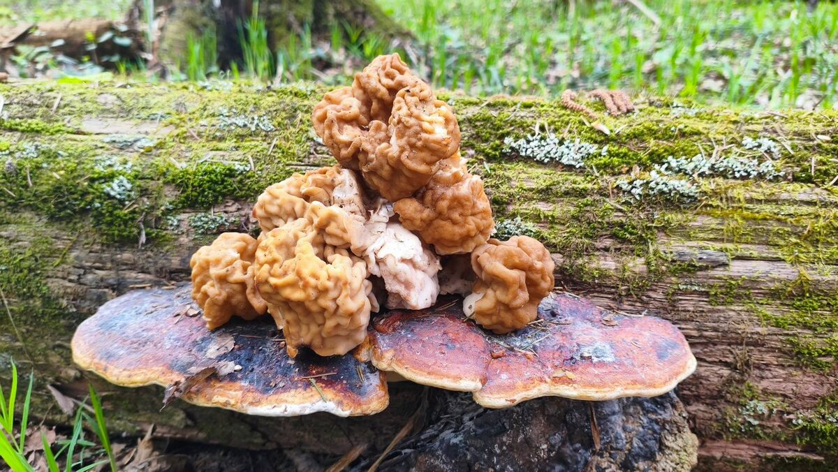 На взлетной площадке!