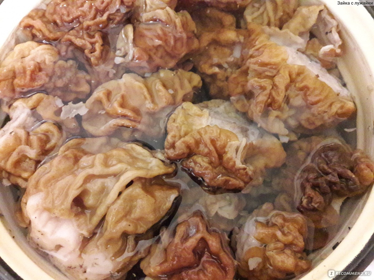 Тотальное откисалово