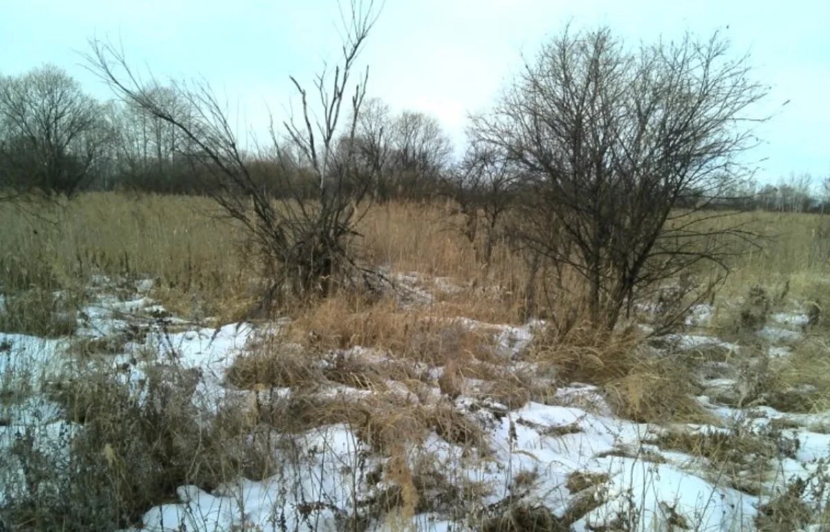    Тверской землевладелец принялся за работы, испугавшись предостережений