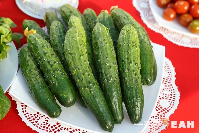    ЕАН. Огурцы