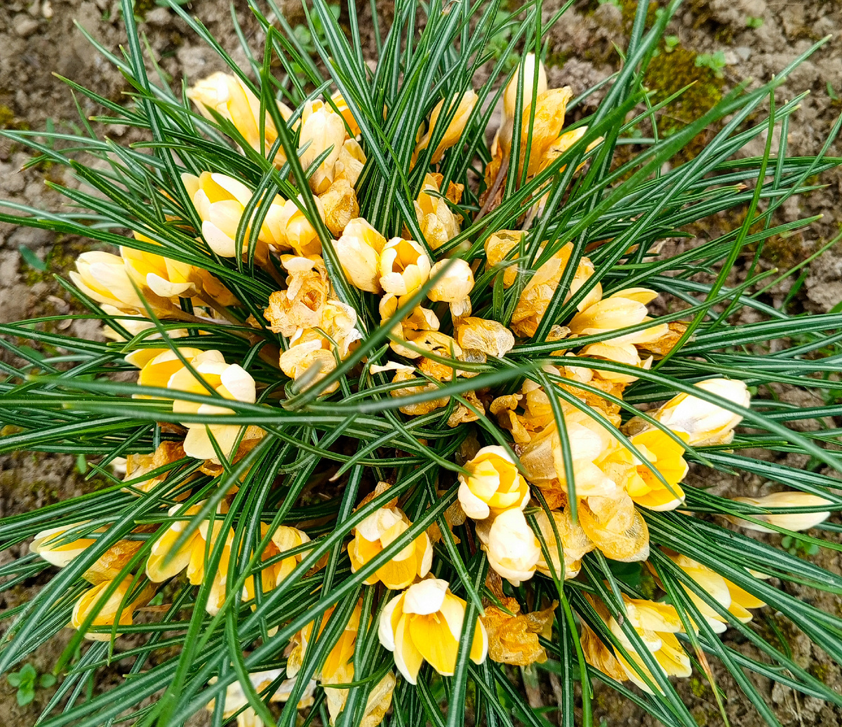 Фото автора.