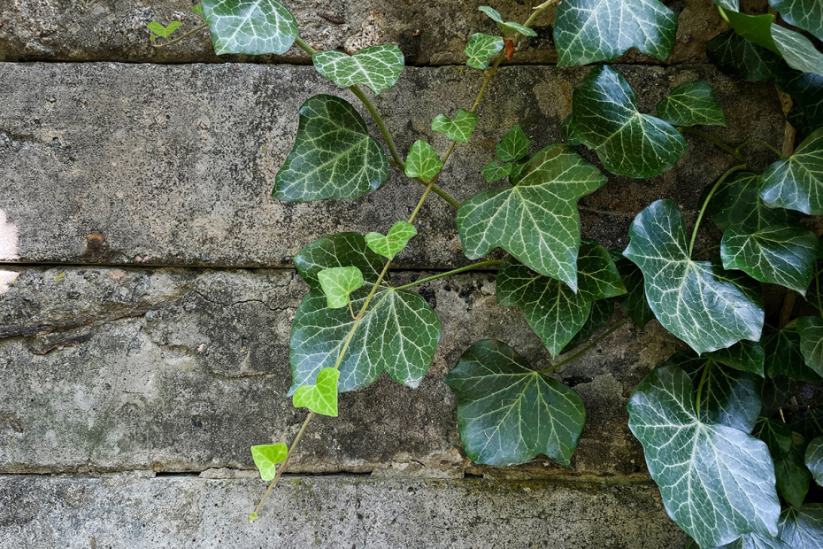    Shutterstock/FOTODOM