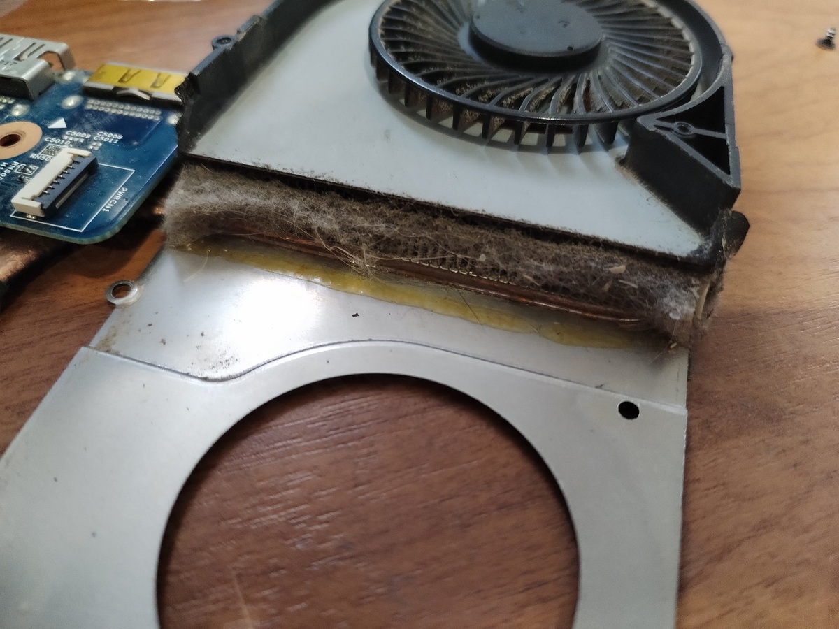 Фото сделано автором канала PCMODD.ru