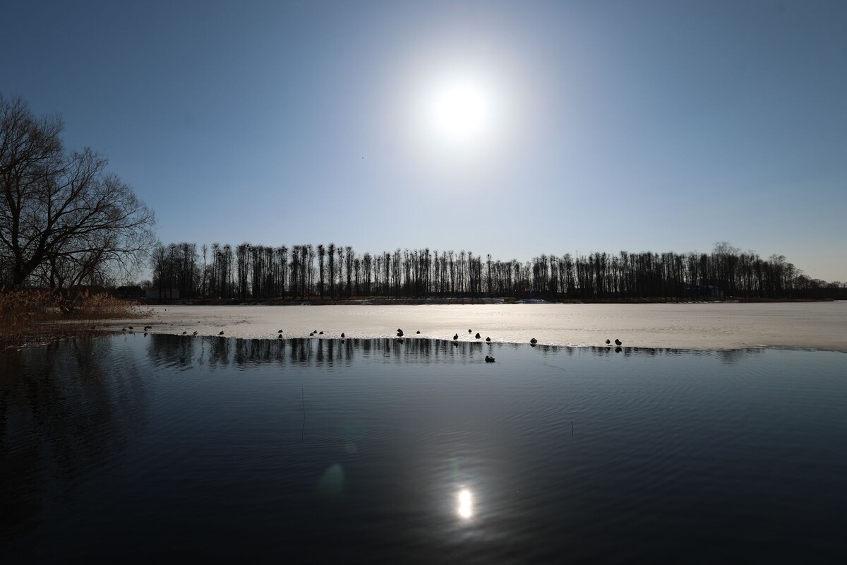  © Павел Орловский, Times.by