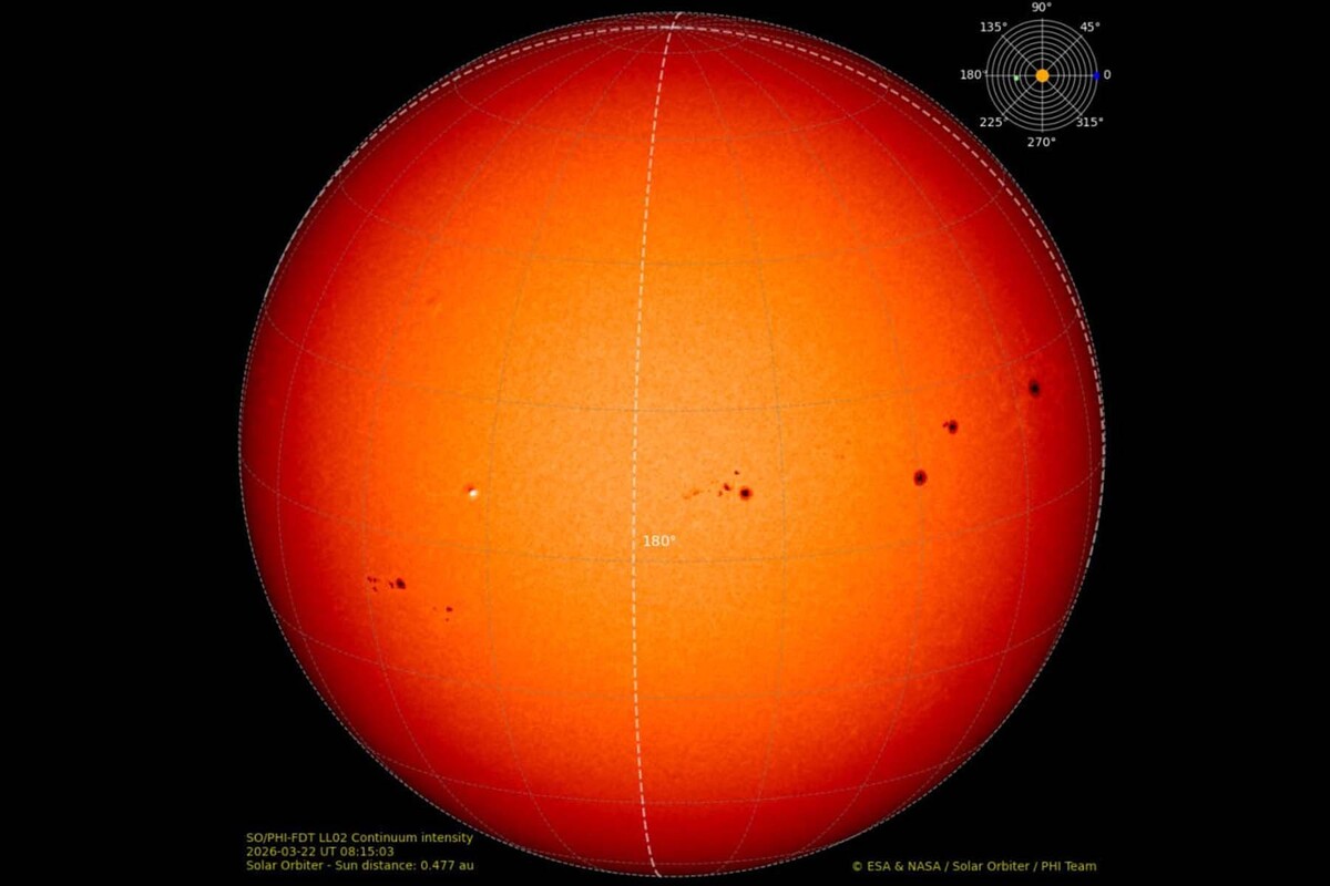  Обратная сторона Солнца, видимая Solar Orbiter (прибор PHI). © Лаборатория солнечной астрономии (XRAS), Telegram