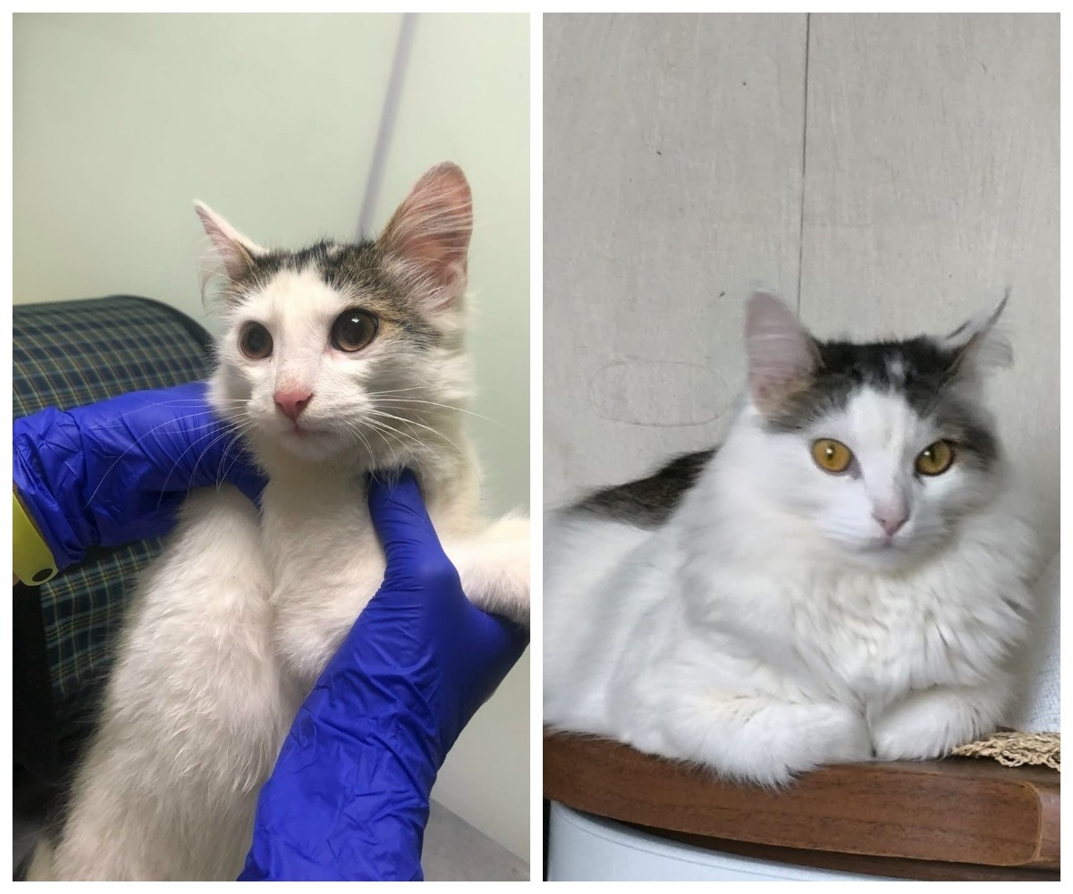 Паскаль – выпускник приюта.