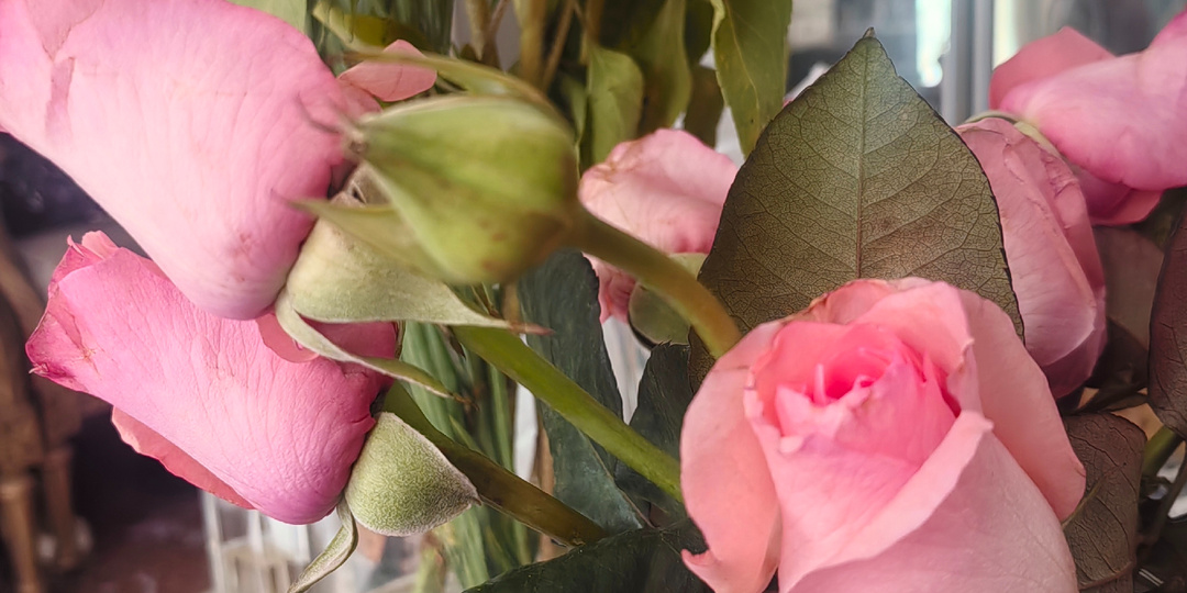 Мировые события. Мой дневник. Болталка