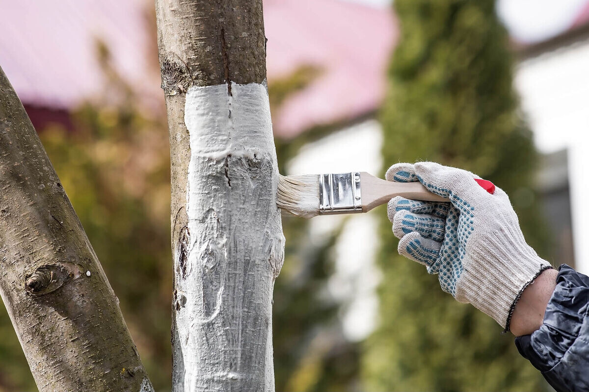 Фото из открытых источников 