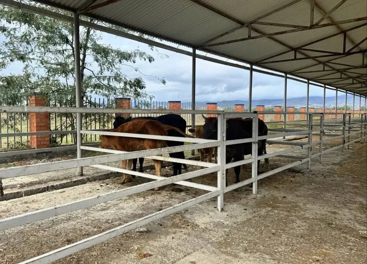     © Мэрия Сунжи. Хадижат Батыгова