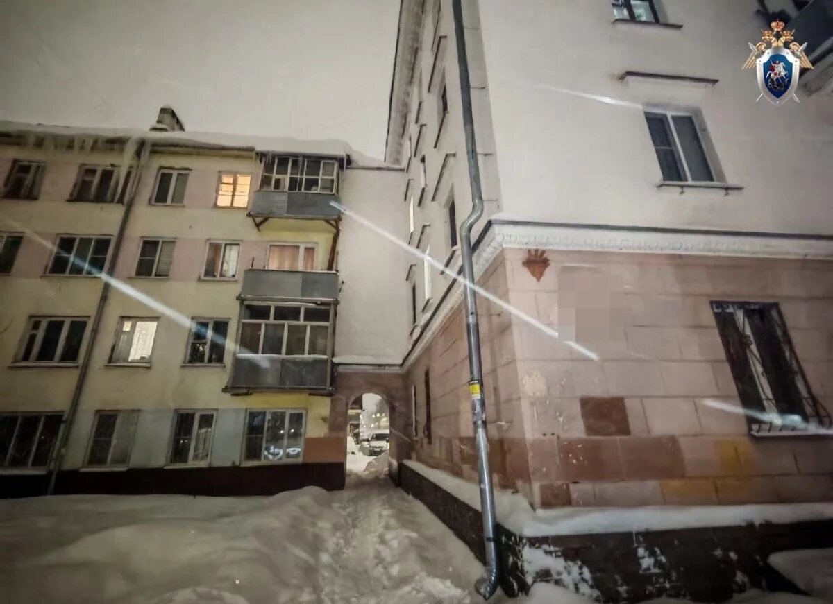    Виновной в падении наледи на ребёнка нижегородке вынесли приговор