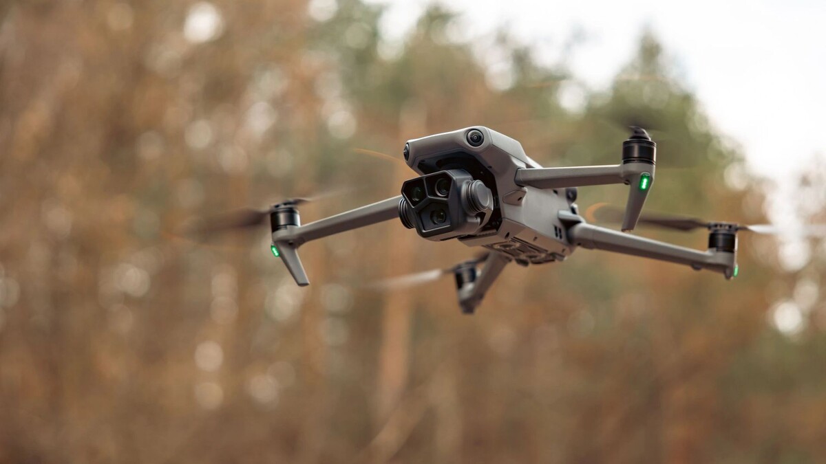    Фото:Sherbak_photo/Shutterstock/Fotodom