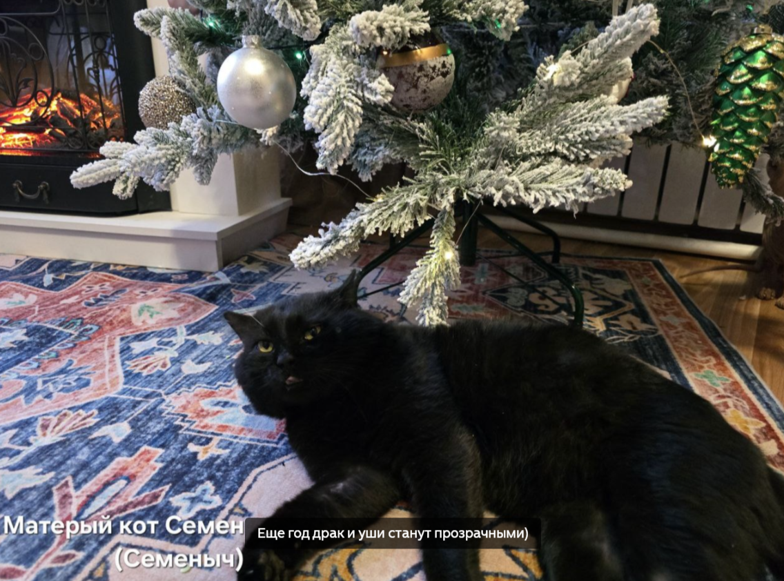 Пафосная морда Семы в мирное время:)