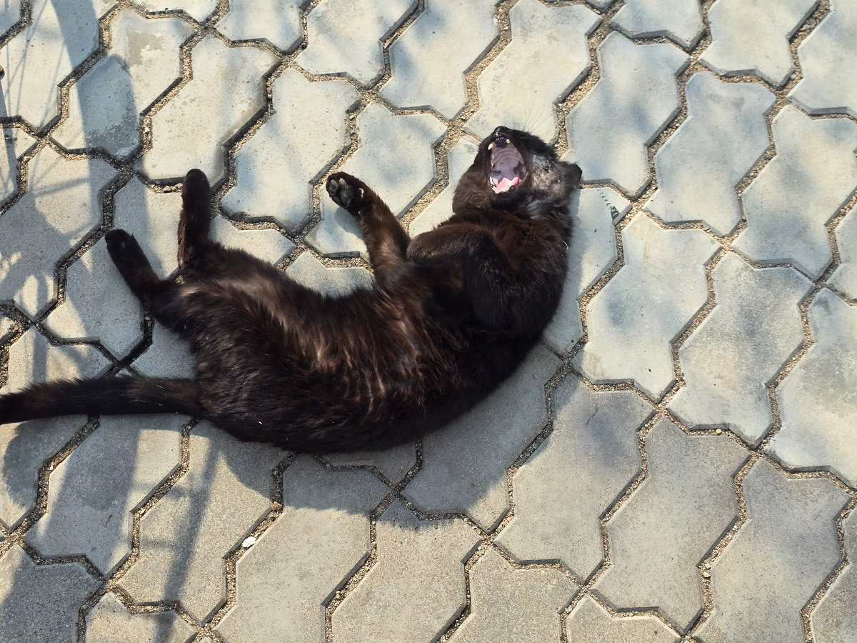 Выздоравливает