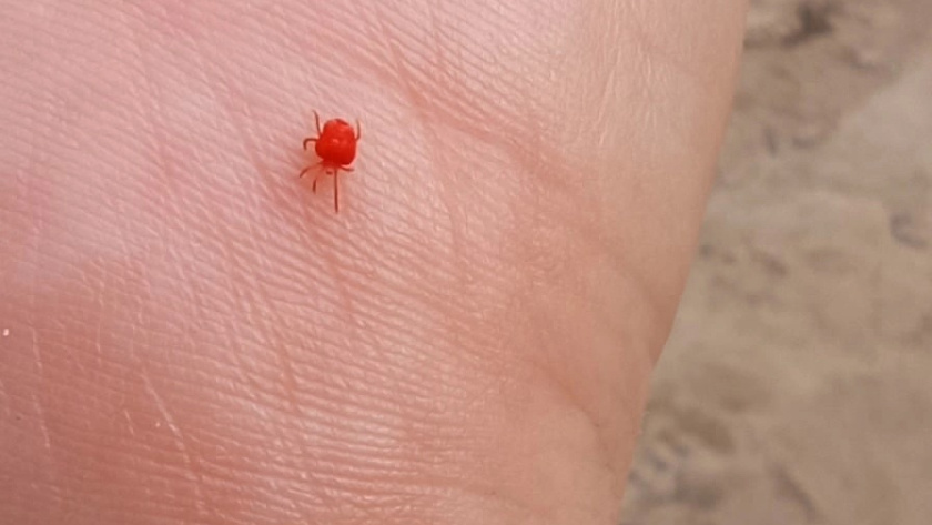    фото smilekaluga.ru