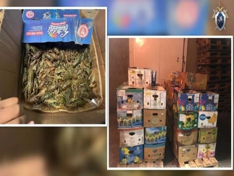   пресс-служба Следственного комитета Астраханской области