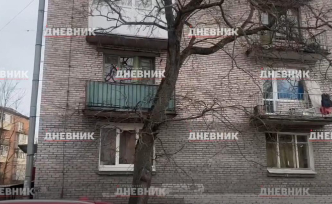    © «Петербургский дневник»