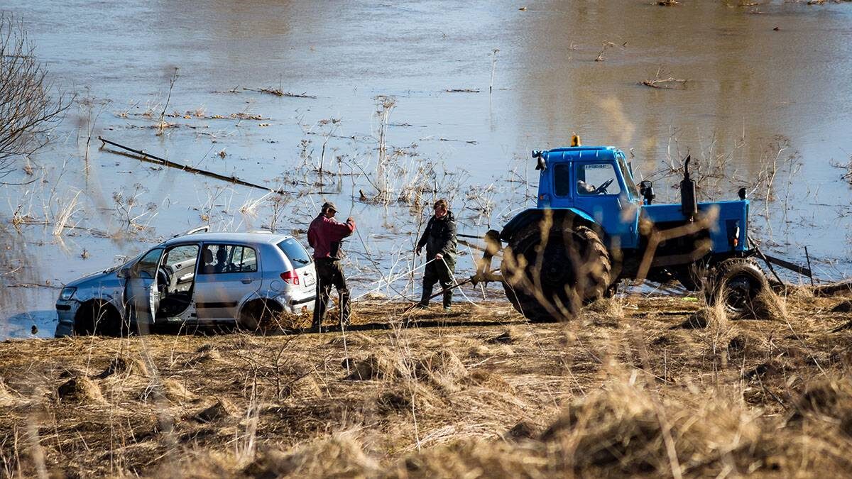    Фото: Shutterstock