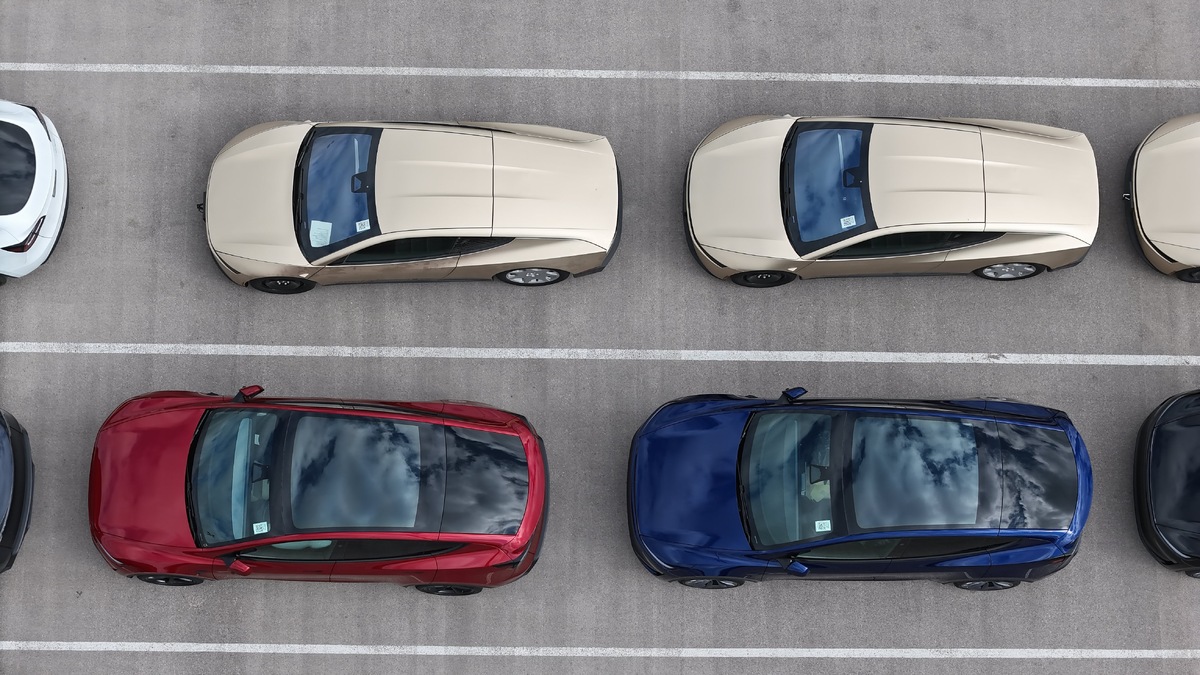 Фото JoeTegtmeyer  📷
