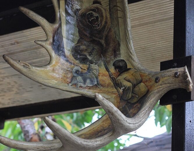 Лось не в курсе: пассажирка авто из Навлинского района взыскала деньги с “РЕСО”