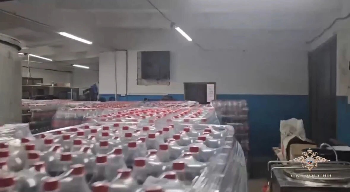    Фото: скриншот видео официального представителя МВД России Ирины Волк