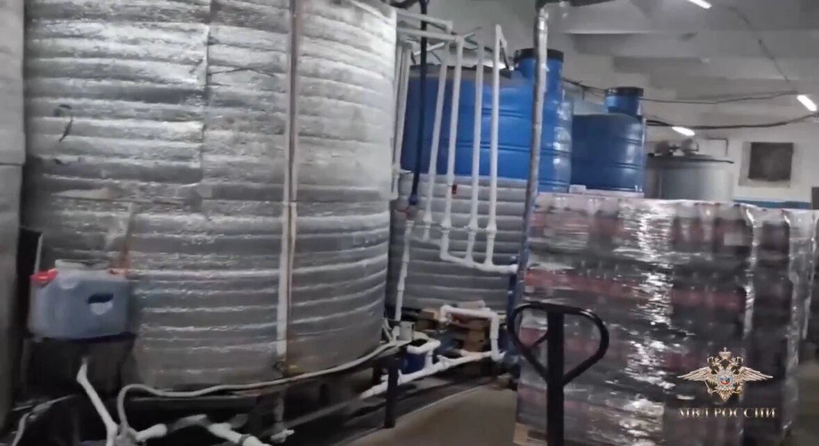    Фото: скриншот видео официального представителя МВД России Ирины Волк