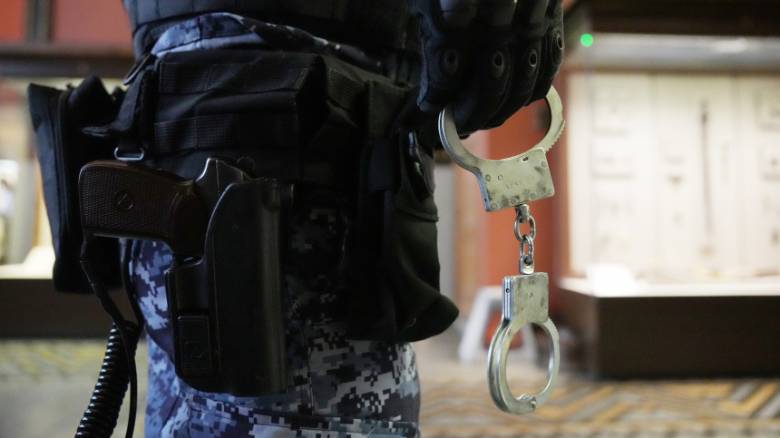    Фото: ИЗВЕСТИЯ/Дмитрий Коротаев; 5-tv.ru