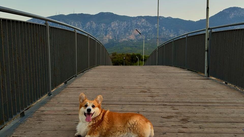 Почему витамин Д не работает? Ошибка с магнием, которую совершают 90% людей