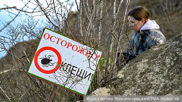     Фото: Константин Михальчевский/РИА Новости   
 Текст: Татьяна Косолапова