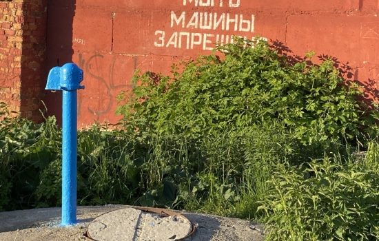    Фото: ИА "Орелград" / Светлана Числова