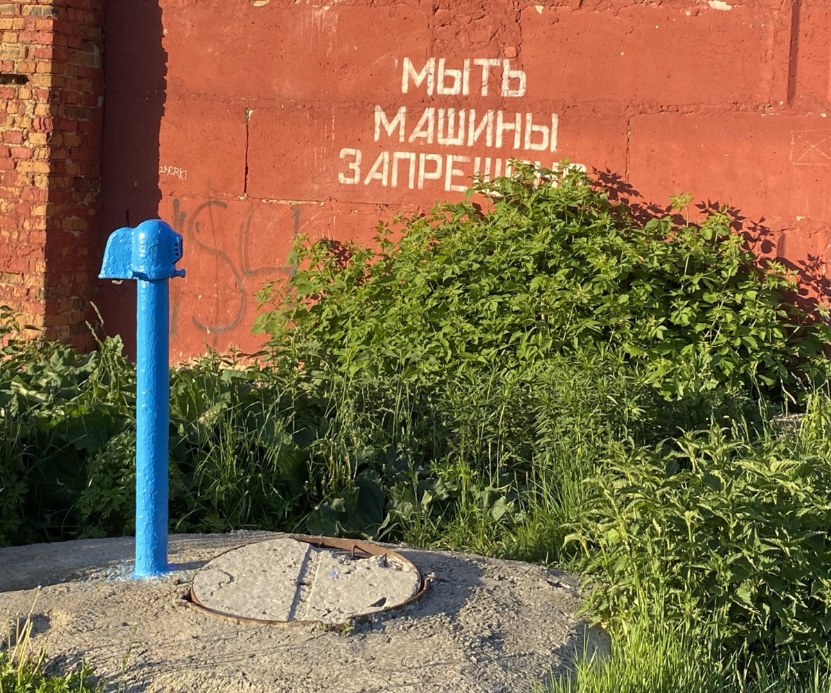    Фото: ИА “Орелград” / Светлана Числова